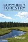 Ryan C. L. Bullock, Ryan C. L. (University of Saskatchewan Bullock, Ryan C. L. Hanna Bullock, Bullock Ryan C. L., Kevin S. Hanna, Hanna Kevin S. - Community Forestry