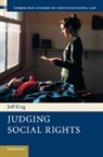 Jeff King, Jeff A. King - Judging Social Rights