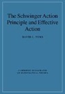 David J. Toms, David J. (University of Newcastle Upon Tyne) Toms, Toms David J. - Schwinger Action Principle and Effective Action