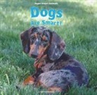 Leigh Rockwood - Dogs Are Smart!