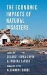 Debarati Guha-Sapir, Debarati (EDT)/ Santos Guha-sapir, Alexandre Borde Managing Editor, Debarati Guha-Sapir, Guha-Sapir Debarati, Indhira Santos... - The Economic Impacts of Natural Disasters