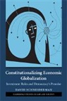David Schneiderman - Constitutionalizing Economic Globalization