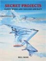 Bill Rose - Flying Wings and Tailless Aircraft