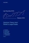 J¿rg Frohlich, Jurg Frohlich, Jurg/ Salmhofer Frohlich, Vieri Mastropietro, Manfred Salmhofer, Leticia F. Cugliandolo... - Quantum Theory from Small to Large Scales