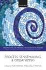 Tor/ Maitlis Hernes, Tor Hernes, Hernes Tor, Sally Maitlis, Maitlis Sally - Process, Sensemaking, and Organizing