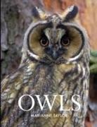 Marianne Taylor - Owls