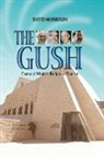 David Morrison - The Gush