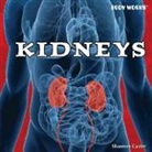 Shannon Caster - Kidneys