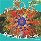 Rachel Lynette - Who Lives in a Colorful Coral Reef?