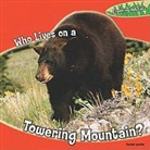 Rachel Lynette - Who Lives on a Towering Mountain?