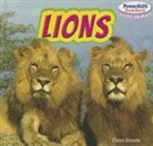 Clara Reade - Lions