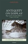 Can Bilsel, Can (Associate Professor and Chair Bilsel - Antiquity on Display