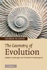 George R. McGhee, George R. (Rutgers University McGhee, George R. Jr. McGhee, McGhee George R. - Geometry of Evolution
