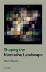 David Owens, David (University of Reading) Owens - Shaping the Normative Landscape