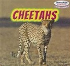 Clara Reade - Cheetahs