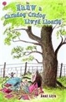 Anni Llyn, Helen Flook - Cyfres Lolipop: Nanw a Caradog Crafog Llwyd Lloerig
