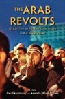 David (EDT)/ Ufheil-somers Mcmurray, David Mcmurray, Amanda Ufheil-Somers - The Arab Revolts