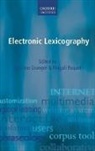 Sylviane Granger, Sylviane/ Paquot Granger, Magali Paquot, Sylviane Granger, Sylviane (Director Granger, Granger Sylviane... - Electronic Lexicography