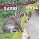 Leigh Rockwood - Tell Me the Difference Between a Rabbit and a Hare