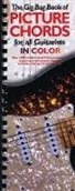 Not Available (NA), Hal Leonard Corp - The Gig Bag Book of Picture Chords for All Guitarists