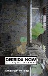 John W. P. Phillips, John William Phillips, Jwp Phillips, John W P Phillips, John W. P. Phillips, John W. P. (National University of Singapore) Phillips - Derrida Now - Current Perspectives in Derrida Studies