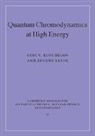 Yuri V. Kovchegov, Yuri V. (Ohio State University) Levin Kovchegov, Yuri V. Levin Kovchegov, Eugene Levin - Quantum Chromodynamics At High Energy