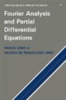 Jr Iorio, R. Iorio, R. Iorio Iorio, Rafael Jose Iorio, Rafael Jose Iorio Iorio, V. Iorio... - Fourier Analysis and Partial Differential Equations