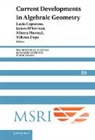 Lucia Mckernan Caporaso, Lucia Caporaso, James McKernan, McKernan James, Mircea Mustata, Mustata Mircea... - Current Developments in Algebraic Geometry
