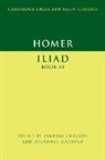 Barbara (University of Durham) Haubold Graziosi, Barbara Haubold Graziosi, Homer, Barbara Graziosi, Graziosi Barbara, Johannes Haubold... - Homer: Iliad Book VI