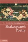 Michael Schoenfeldt, Michael (University of Michigan Schoenfeldt, Michael Carl Schoenfeldt, Schoenfeldt Michael - Cambridge Introduction to Shakespeare''s Poetry