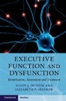 Scott J. (Associate Professor Hunter, Scott J. Sparrow Hunter, Scott J. Hunter, Scott J. (Associate Professor Hunter, Hunter Scott J., Elizabeth P. Sparrow... - Executive Function and Dysfunction