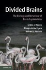 Richard J. Andrew, Richard J. (University of Sussex) Andrew, Andrew Richard J., Lesley J. Rogers, Lesley J. (Emeritus Professor Rogers, Lesley J. Vallortigara Rogers... - Divided Brains