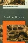Andre Brink, André Brink - Looking on darkness