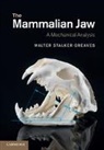 Walter Stalker Greaves, Walter Stalker (University of Illinois Greaves - Mammalian Jaw