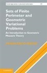 Francesco Maggi, Francesco (Universit... Degli Studi DI Fire Maggi, Francesco (Universita Degli Studi DI Firenz Maggi - Sets of Finite Perimeter and Geometric Variational Problems