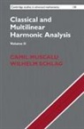 Camil Muscalu, Camil (Cornell University Muscalu, Camil Schlag Muscalu, Wilhelm Schlag - Classical and Multilinear Harmonic Analysis