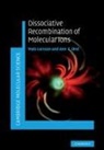 Mats Larsson, Mats (Stockholms Universitet) Orel Larsson, Mats Orel Larsson, Larsson Mats, Ann E. Orel, Orel Ann E. - Dissociative Recombination of Molecular Ions