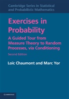 Loic Chaumont, Loïc Chaumont, Loic (Universite d'Angers Chaumont, Loic Yor Chaumont, Marc Yor, Marc (Universite de Paris VI (Pierre et Marie Curie)) Yor - Exercises in Probability