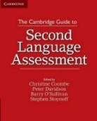 &amp;apos, Christine Coombe, Christine Davidson Coombe, Christine Stoynoff Coombe, Coombe Christine, Peter Davidson... - Cambridge Guide to Second Language Assessment