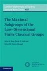 John Bray, John N Bray, John N. Bray, John N. (Queen Mary University of London) Bray, John N. (Queen Mary University of London) Ho Bray, John N. Holt Bray... - Maximal Subgroups of the Low-Dimensional Finite Classical Groups