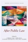 Cormac Michelon Mac Amhlaigh, Cormac Mac Amhlaigh, Cormac Mac Amhlaigh, Claudio Michelon, Claudio (Federal University of Rio Grande do Sul) Michelon, Michelon Claudio... - After Public Law