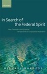 Michael Burgess - In Search of the Federal Spirit