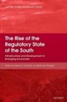 Navroz K. Dubash, Navroz K. (Senior Fellow Dubash, Navroz K. Morgan Dubash, Bronwen Morgan, Navroz K. Dubash, Navroz K. (Senior Fellow Dubash... - Rise of the Regulatory State of the South