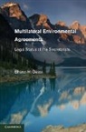 Bharat H. Desai, Bharat H. (Jawaharlal Nehru University) Desai, Desai Bharat H. - Multilateral Environmental Agreements