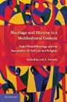 Joel A. Nichols, Prof. Joel A. Nichols, Professor Joel A. Nichols, Joel A. Nichols - Marriage and Divorce in a Multi-Cultural Context
