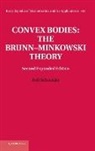 Rolf Schneider - Convex Bodies: The Brunn-Minkowski Theory