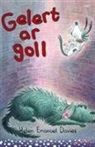 Helen Emanuel Davies, Helen Flook - Cyfres Swigod: Gelert Ar Goll