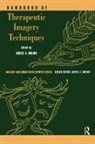 Anees A. Sheikh, Anees Ahmad Sheikh, Anees A. Sheikh - Handbook of Therapeutic Imagery Techniques