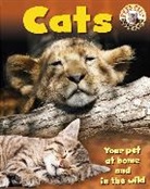 Honor Head, Sally Morgan - Cats