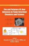Charles A. Wilkie, Charles A. (EDT)/ Morgan Wilkie, Alexander B. Morgan, Morgan Alexander B., Gordon L. Nelson, Nelson Gordon L.... - Fire and Polymers VI